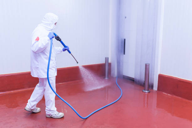 Best Pre-Holiday Cleaning  in Kutztown University, PA